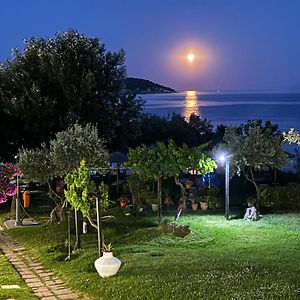 Angeliki Beach Hotel